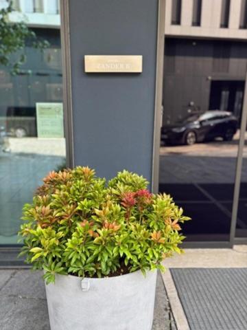 Hotel Zander K 4*